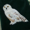 Snowy Owl Bag