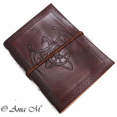 Winged Dragon Journal